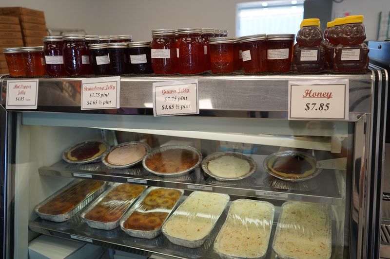 Knaus Berry Farm (Homestead)