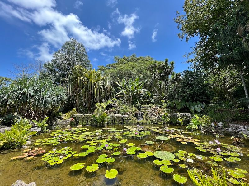 Fairchild Tropical Botanic Garden: 83 Acres of Living Art