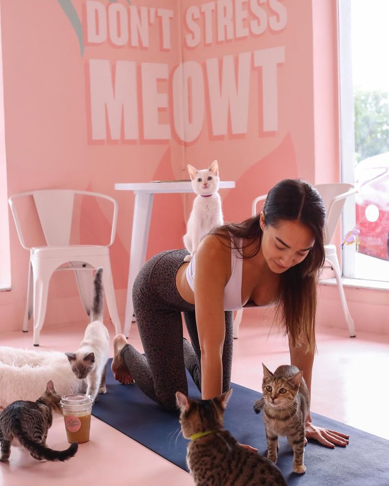 Playtime With Residents