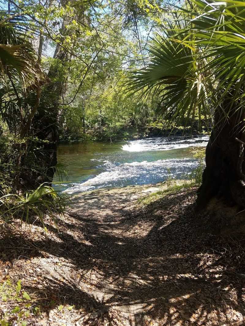 Steinhatchee Falls (Steinhatchee)