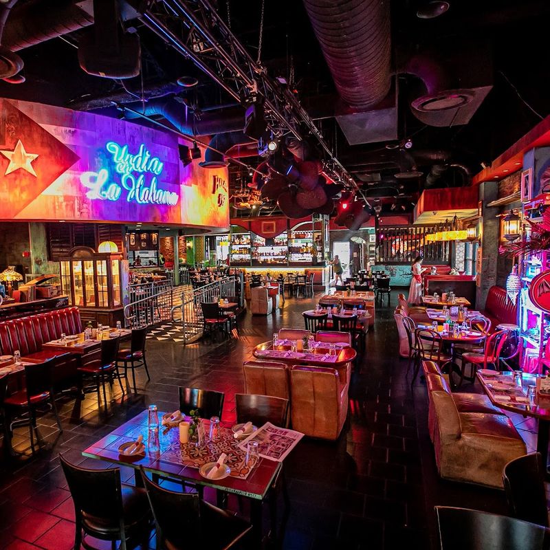 Live Music That Makes Every Night Feel Like a Celebration