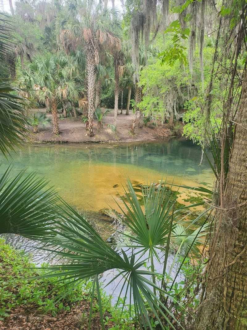Gemini Springs Park (DeBary)