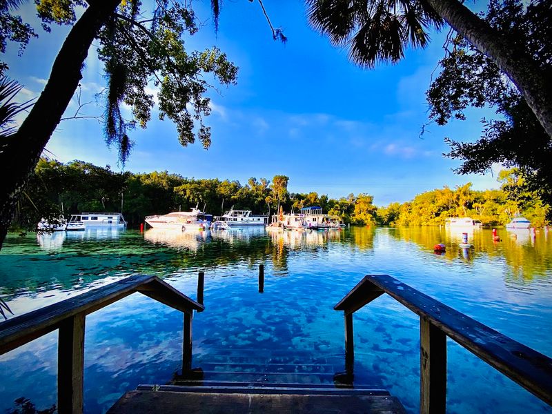 Silver Glen Springs (Ocala National Forest)