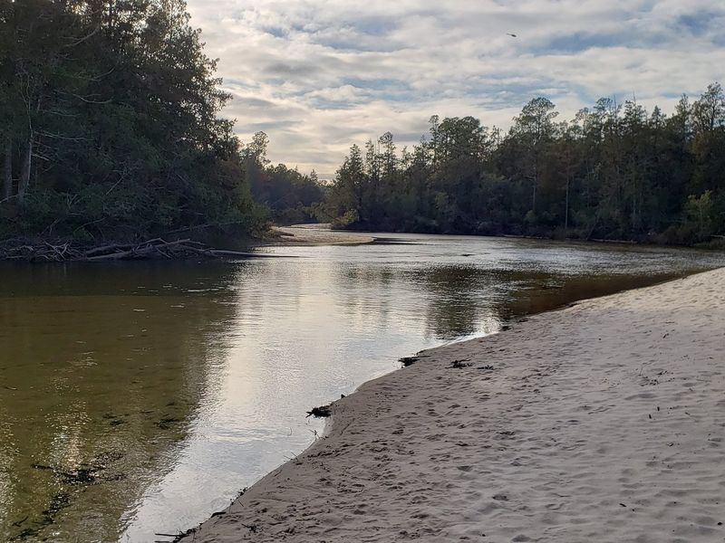 Blackwater River State Park (Holt)