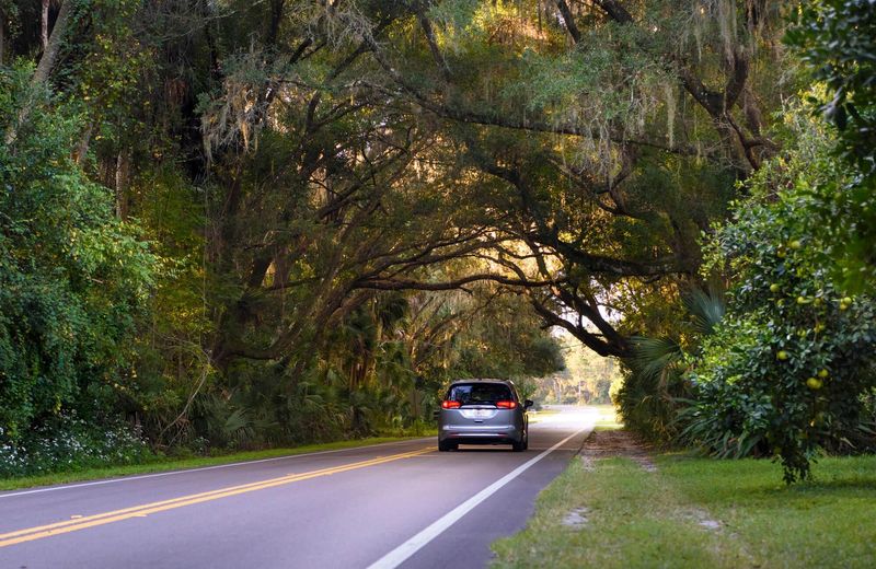 Old Florida Heritage Highway (Micanopy and southern Alachua County)