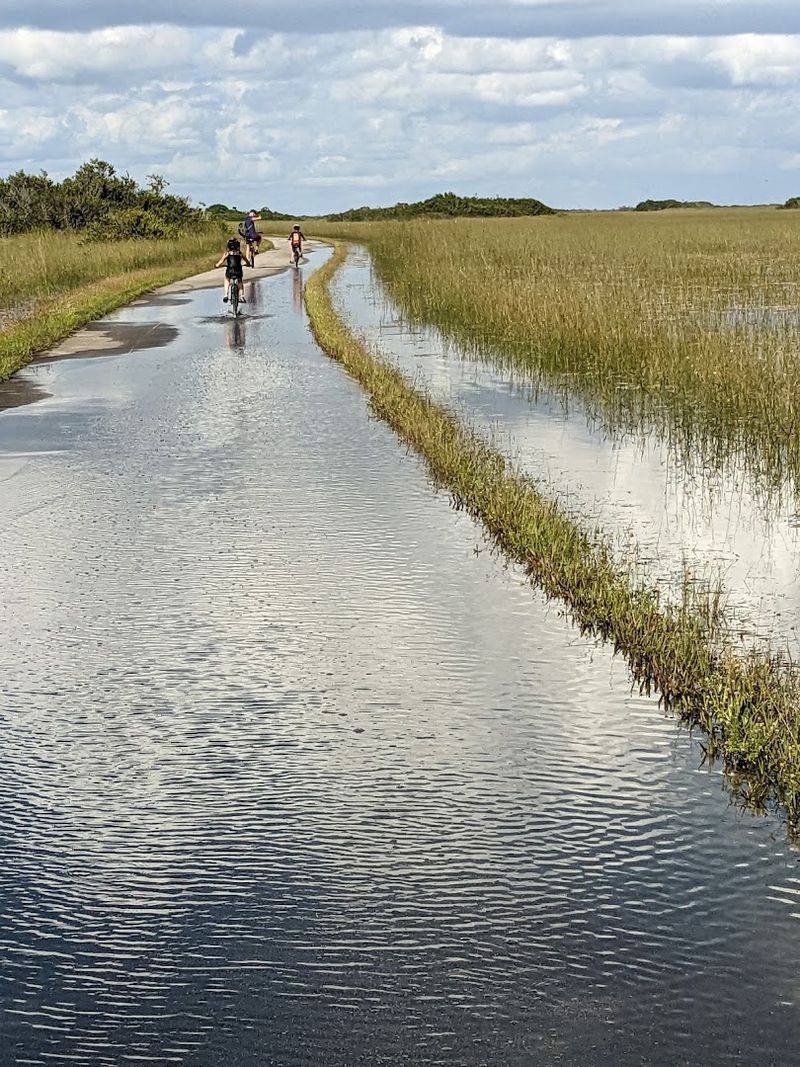 What to Pack: Gear That Makes the Ride Way Better