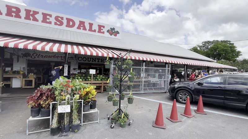 Parkesdale Farms Market, Plant City