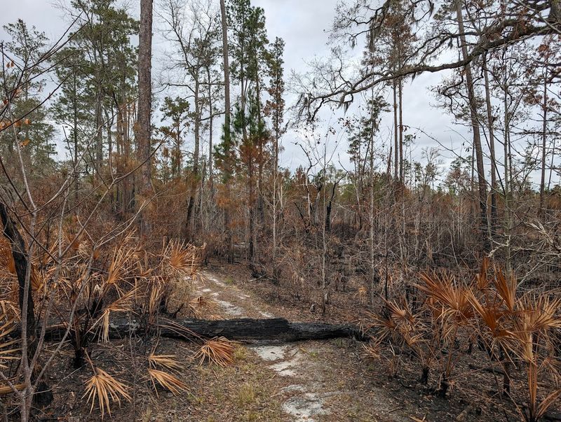 Trails That Feel Like a Different State