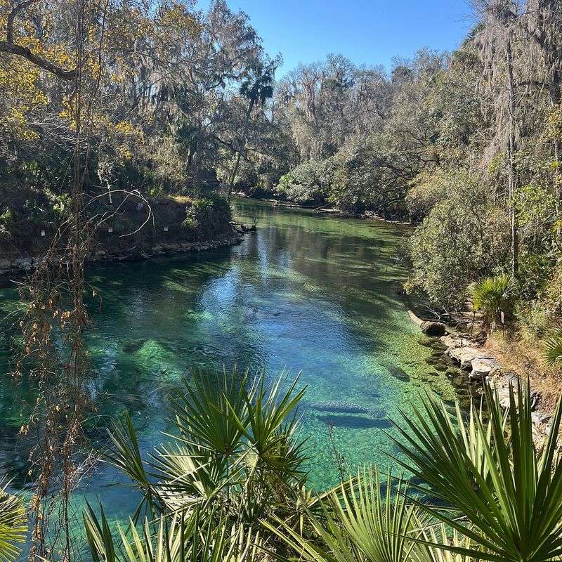 Blue Spring State Park (Orange City)