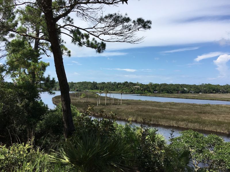Disc Golf Course Through Natural Landscape
