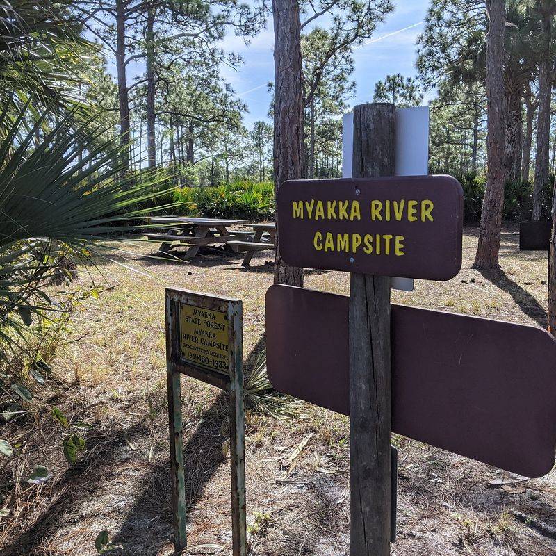 Myakka River State Park (Sarasota)