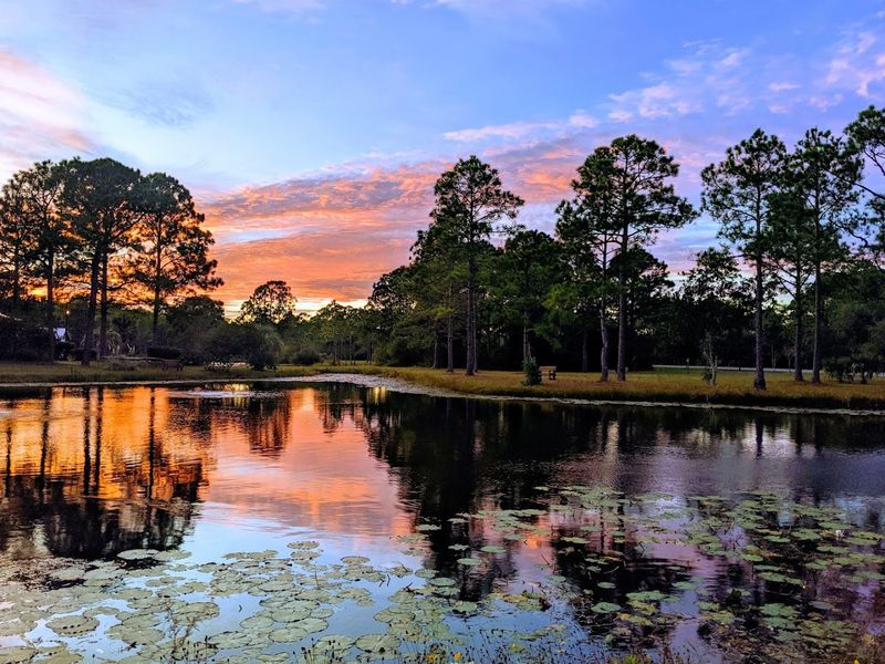 The Tram Ride That Makes the Beach Accessible to Everyone