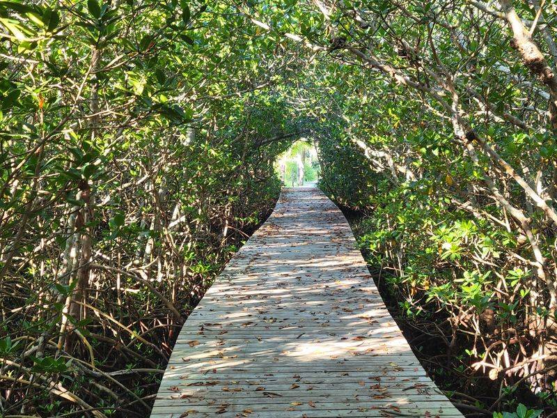 Hurricane Recovery Shows Nature's Resilience