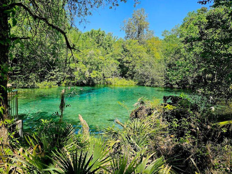 Ichetucknee Springs State Park