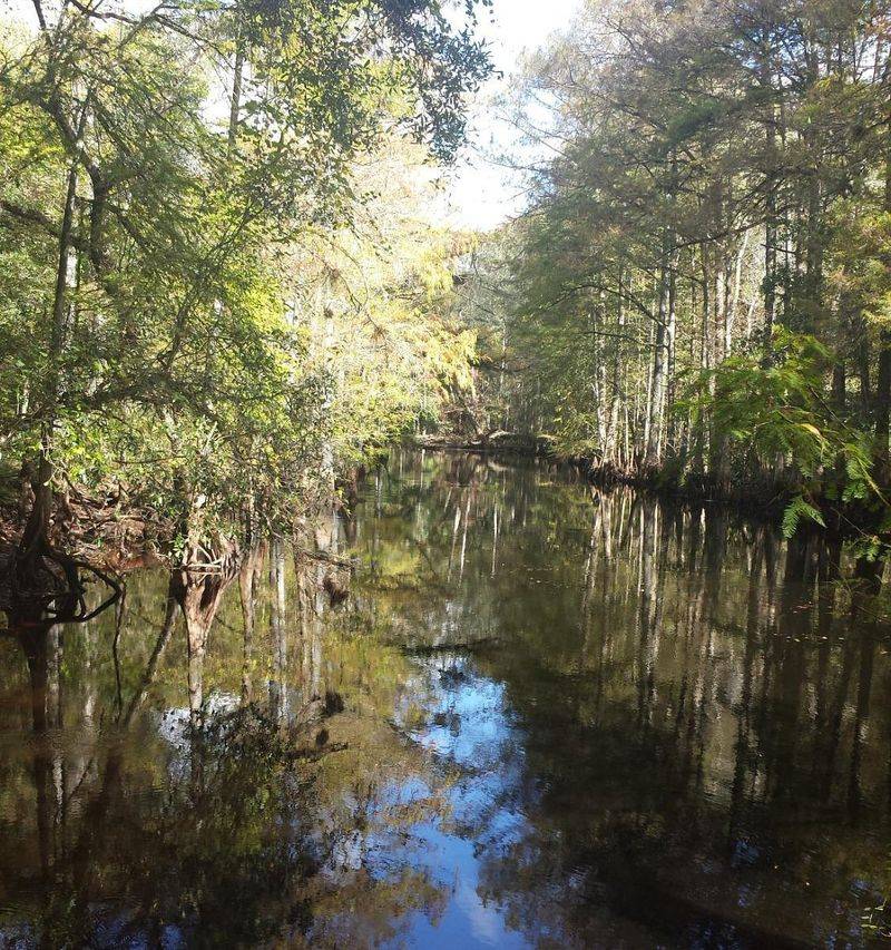Wildlife Watching Opportunities Around Every Bend