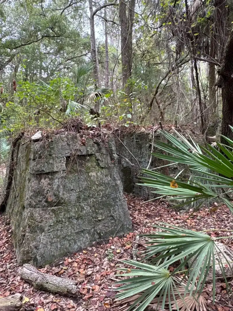 The Nature Preserve That Saved Centralia's Story