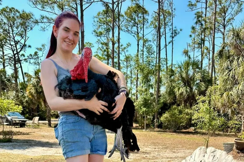 Supporting the Sanctuary's Mission