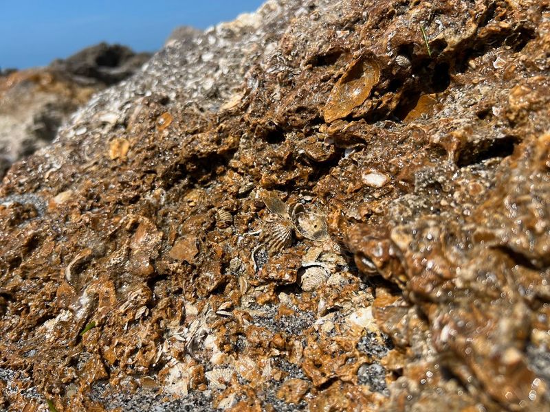 Where to Search Along the Beach