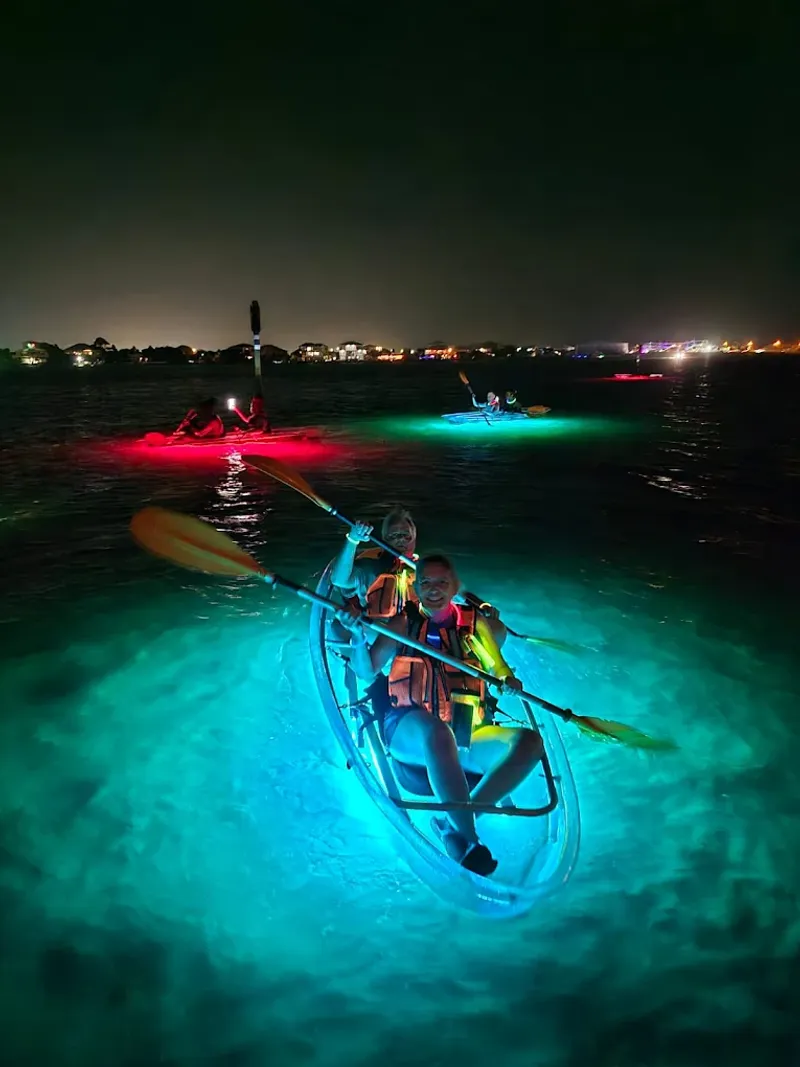 Perfect for Beginners and Families