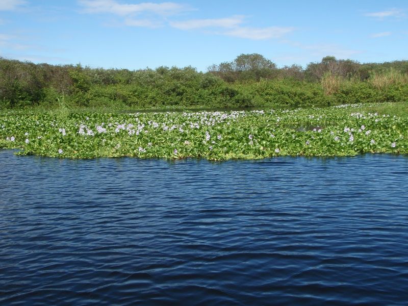 Lake Rosalie (Lake Wales area)