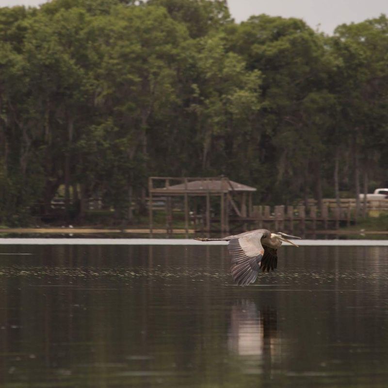 Lake Howell (Seminole County)