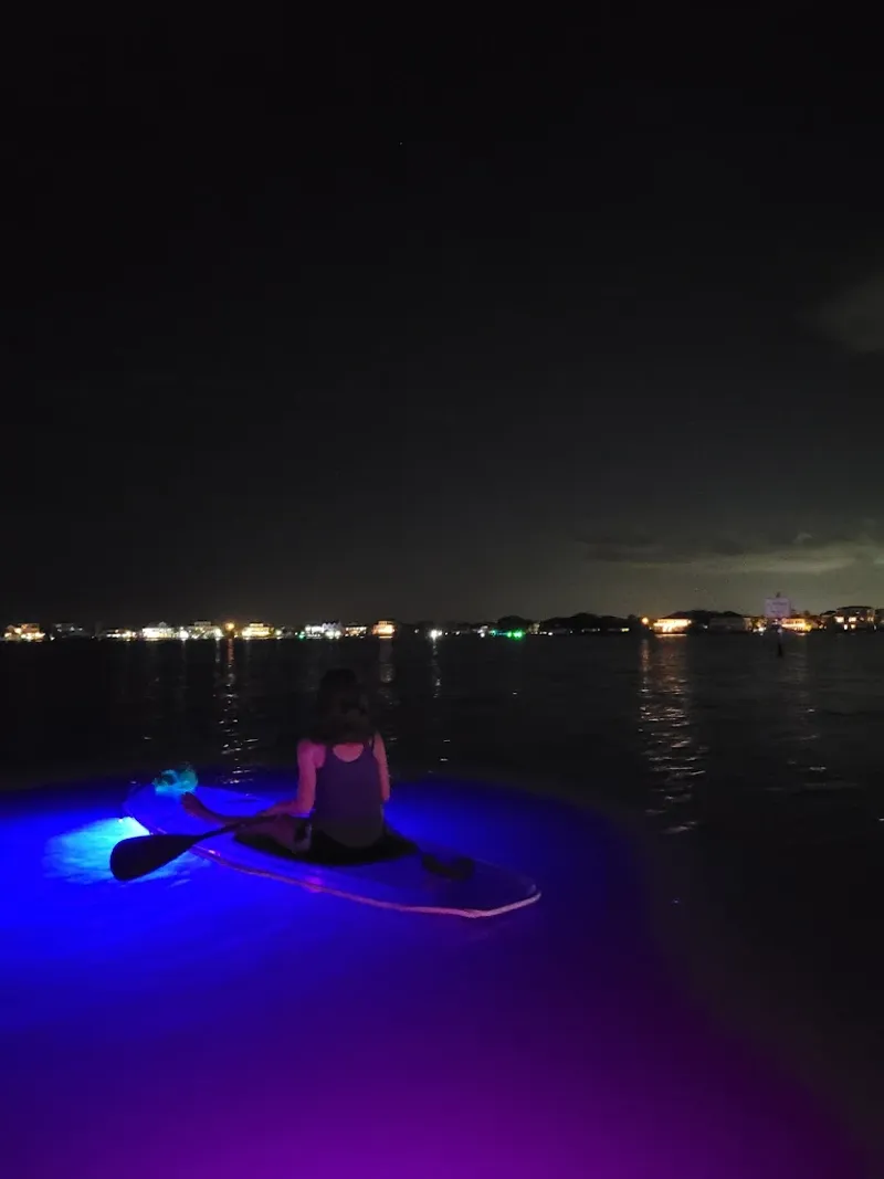 Affordable Adventure with Smart Upgrades