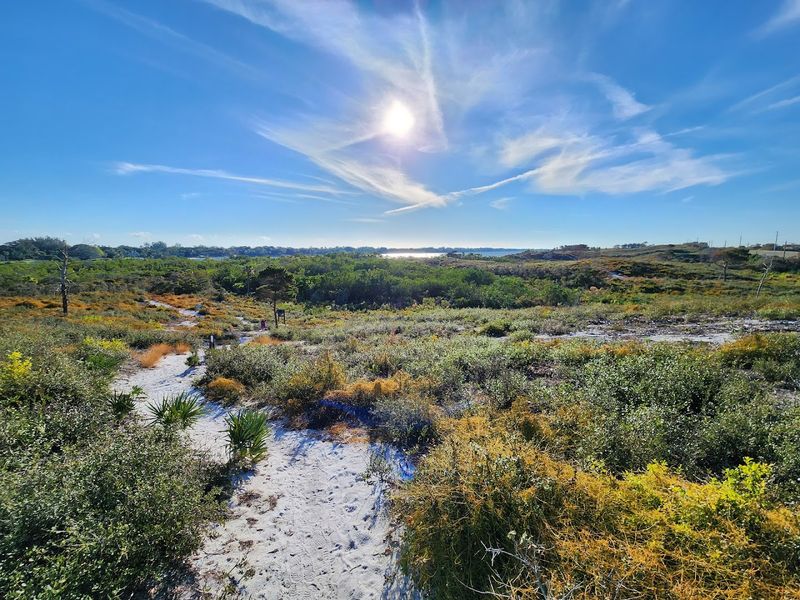 Hobe Sound National Wildlife Refuge / Blowing Rocks Area (Hobe Sound / Jupiter Island)