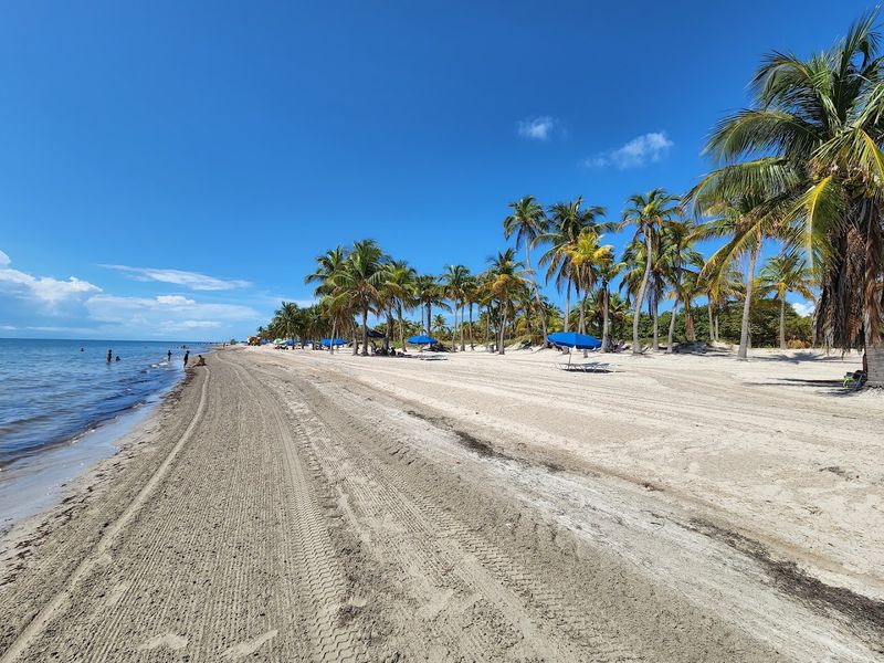 Crandon Park Beach (Key Biscayne)