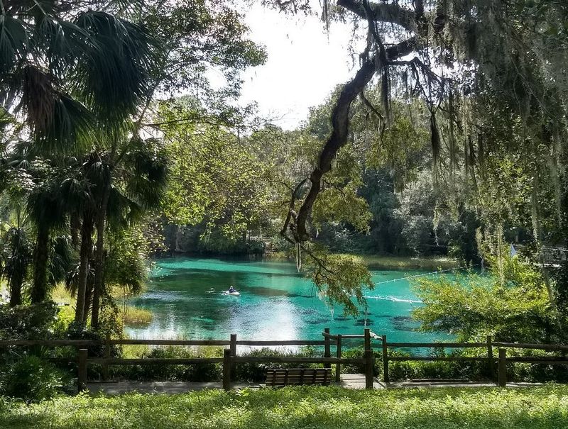 Rainbow Springs State Park (Dunnellon)