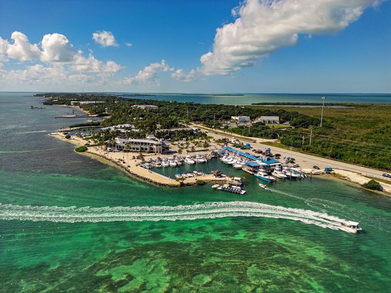 Wahoo's Bar & Grill (Islamorada)