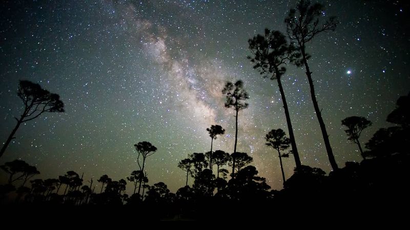 Dr. Julian G. Bruce St. George Island State Park