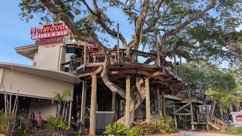 Norwood's Restaurant & Treehouse Bar (New Smyrna Beach)