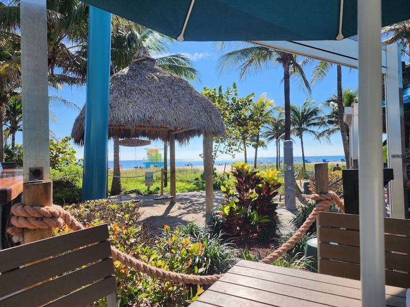 Why Lucky Fish Stands Out Among Florida Beach Bars