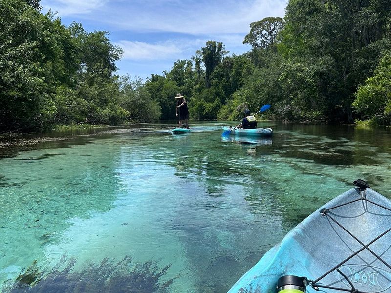 Weeki Wachee Springs State Park (Spring Hill)