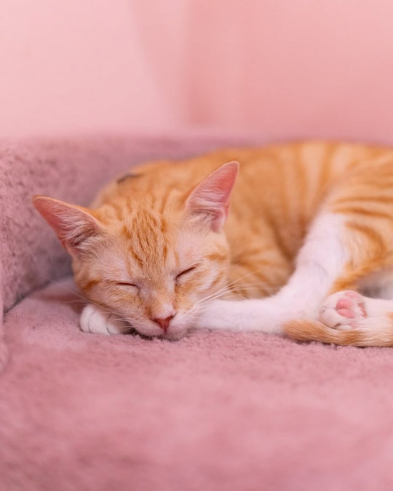 How To Book Your Visit