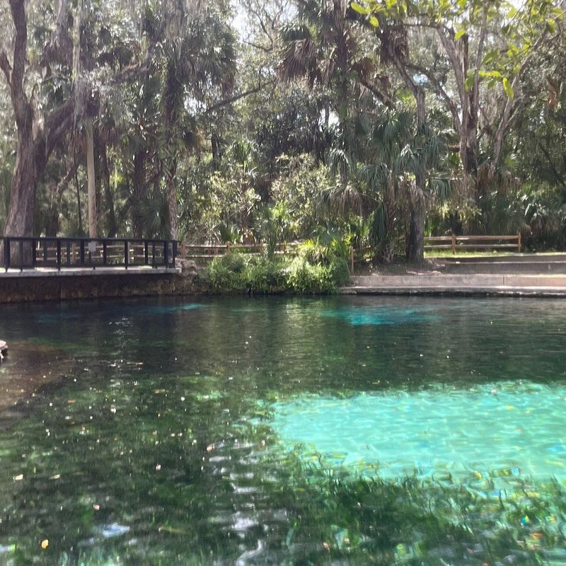 Juniper Springs (Ocala National Forest)