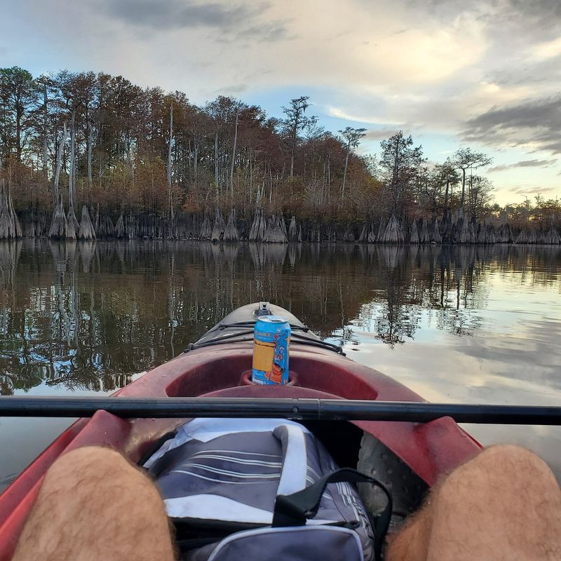 Paddling Through the Cypress Maze