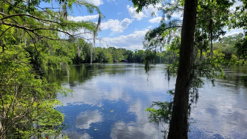 Fanning Springs State Park