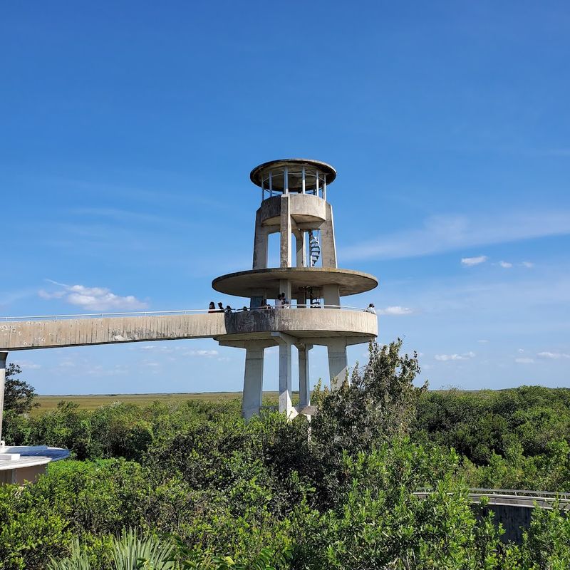Shark Valley Tram Trail