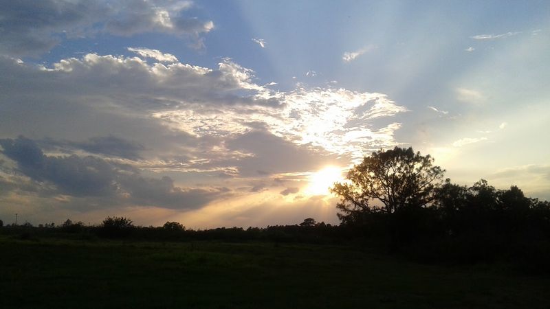 Auburndale TECO Trail (Polk City to Auburndale)