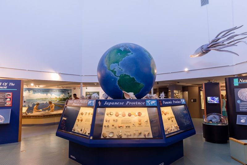The Great Hall of Shells: A Room That Rewires Your Brain