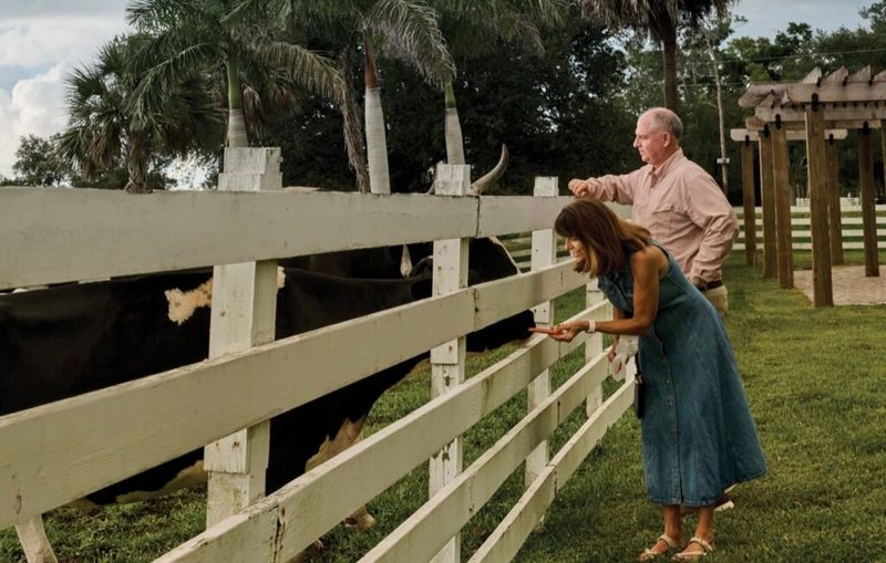 Farm Animals You Can Actually Meet