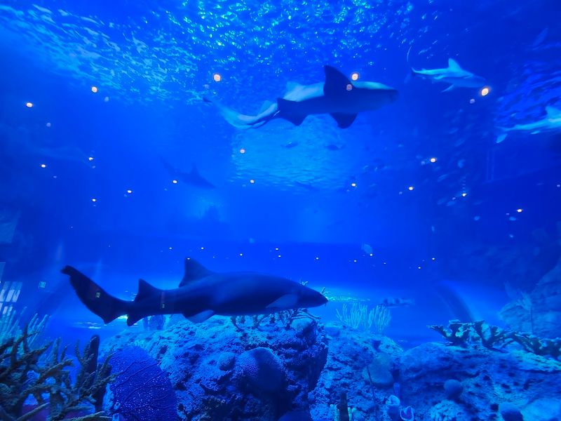 Behind-the-Scenes Gulf Coast Tours Show Real Research in Action