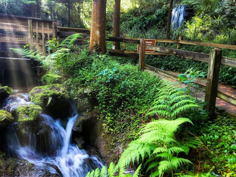 Rainbow Springs State Park — Dunnellon (Central Florida)
