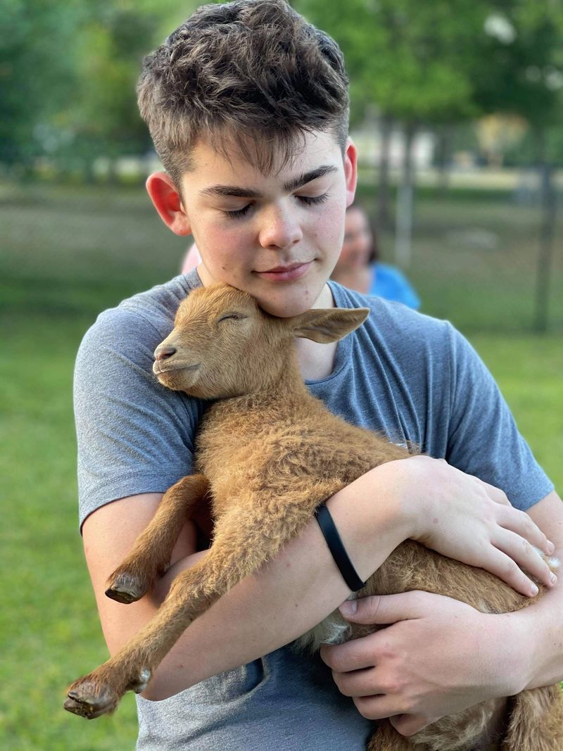 Goat Snuggling Sessions For Non-Yogis
