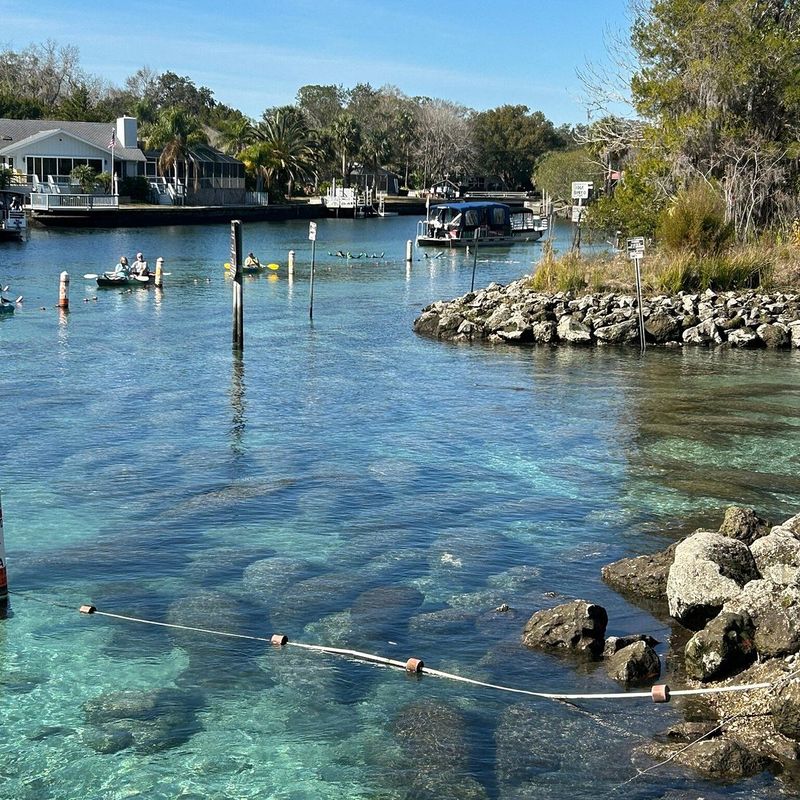Crystal River (Citrus County)