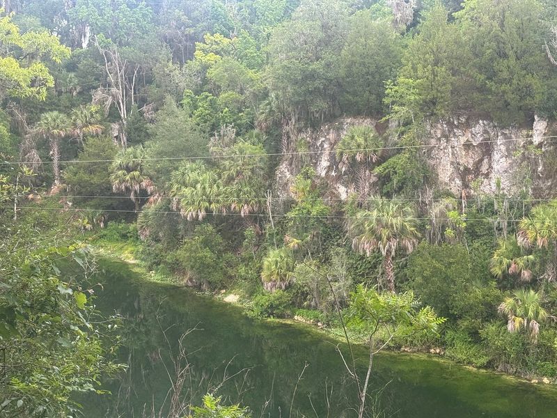 Visitor Experiences That Speak for Themselves