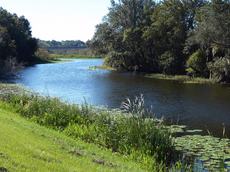 Ocklawaha River (North-Central Florida)