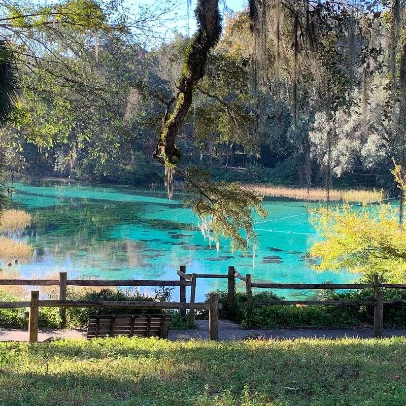Rainbow Springs Lake (Dunnellon)