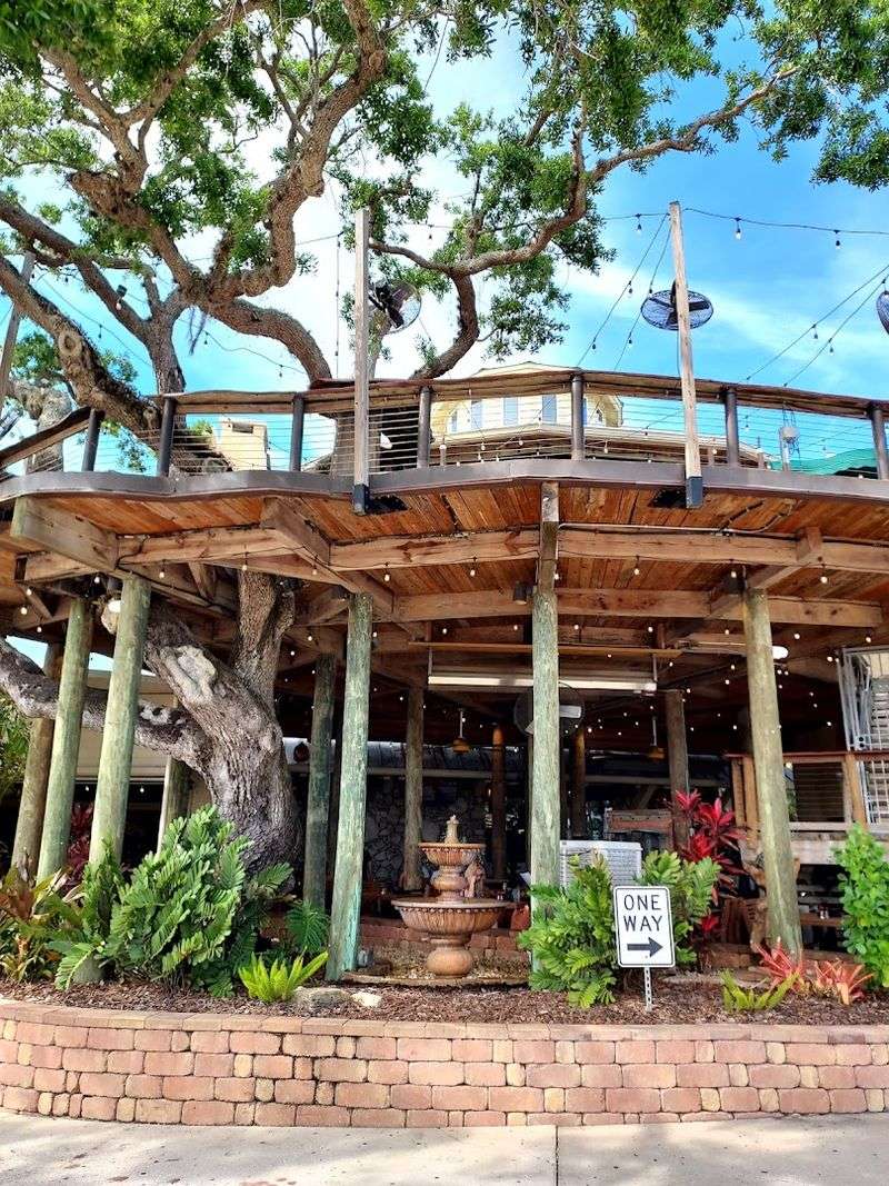 The Legendary Treehouse Bar Experience